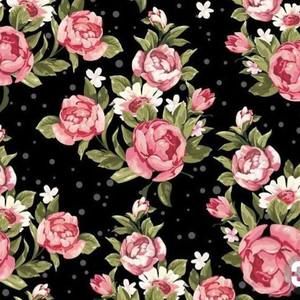 Meet your Posher, Charlotte